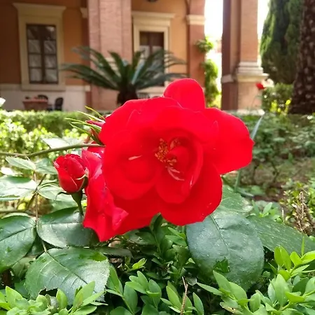 Casa S. Giuseppe Di Cluny Rome